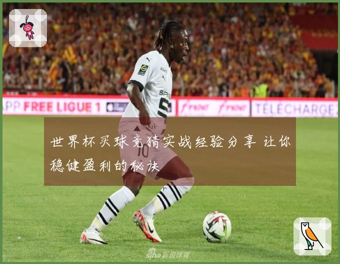 世界杯买球竞猜实战经验分享 让你稳健盈利的秘诀