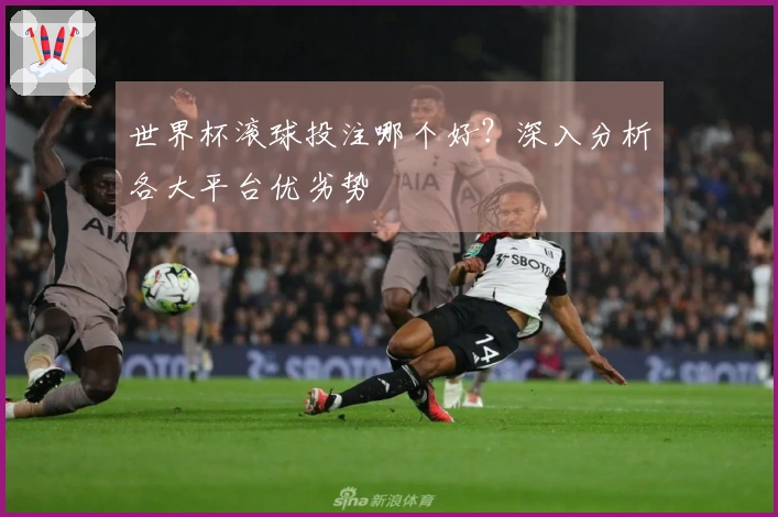 世界杯滚球投注哪个好？深入分析各大平台优劣势