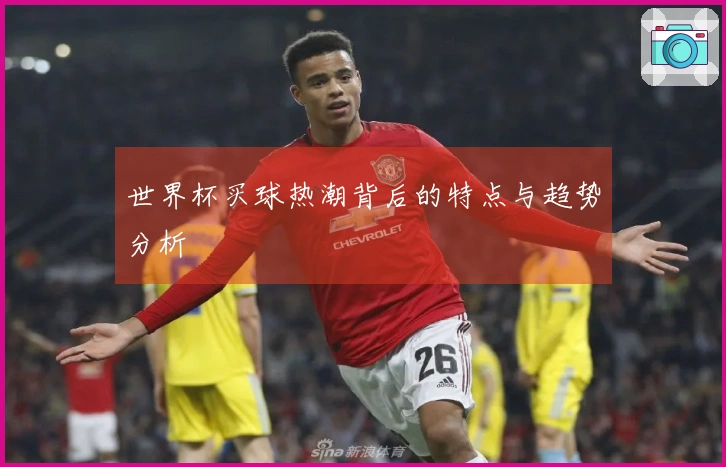世界杯买球热潮背后的特点与趋势分析
