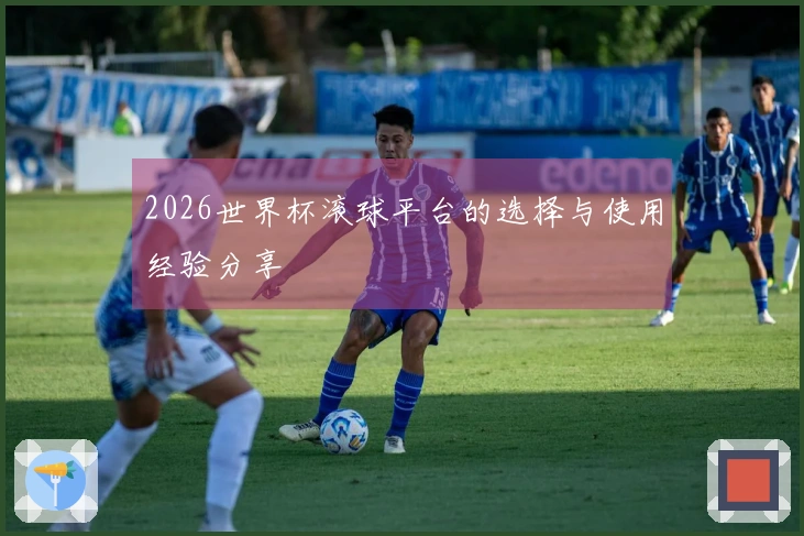 2026世界杯滚球平台的选择与使用经验分享
