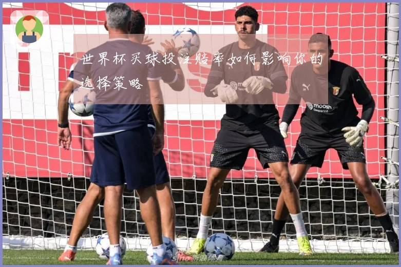 世界杯买球投注赔率如何影响你的选择策略