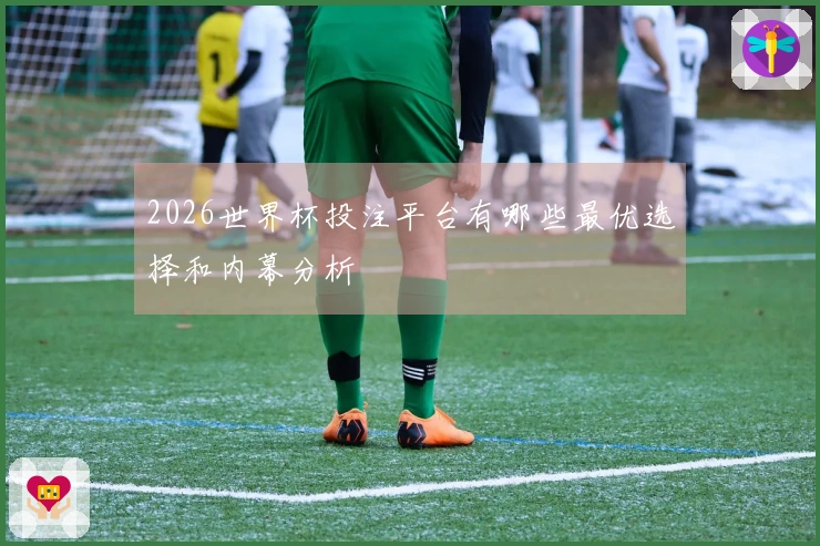 2026世界杯投注平台有哪些最优选择和内幕分析