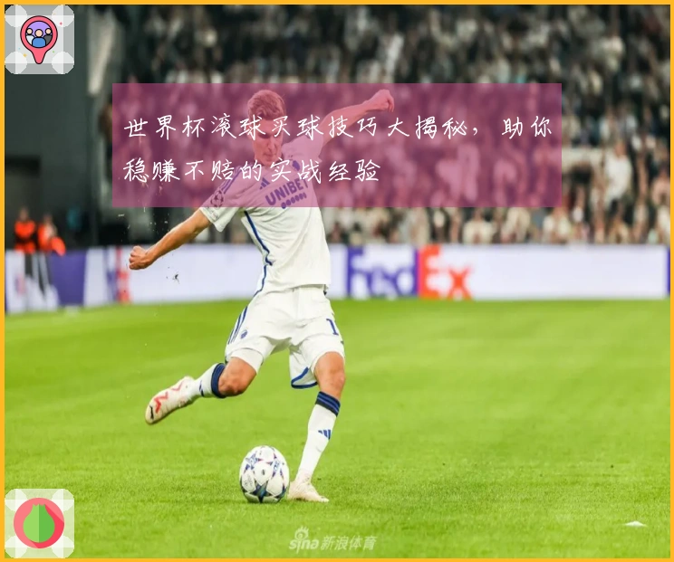 世界杯滚球买球技巧大揭秘，助你稳赚不赔的实战经验