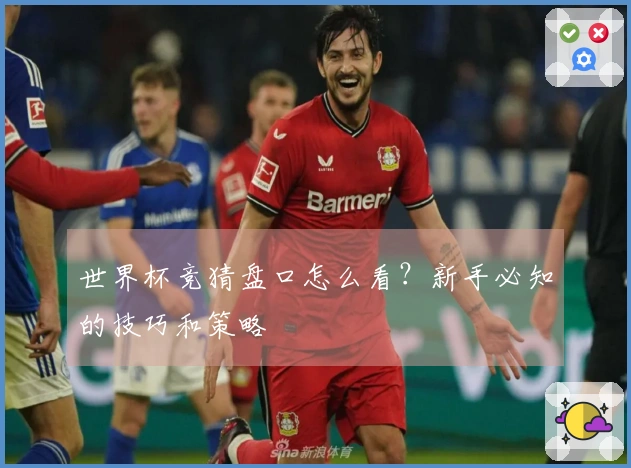 世界杯竞猜盘口怎么看？新手必知的技巧和策略