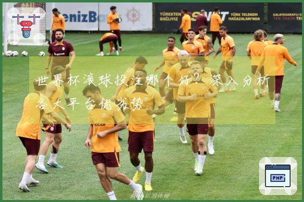 世界杯滚球投注哪个好？深入分析各大平台优劣势