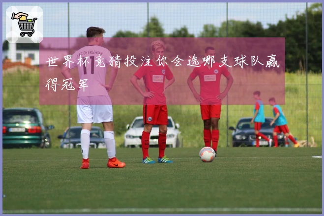世界杯竞猜投注你会选哪支球队赢得冠军