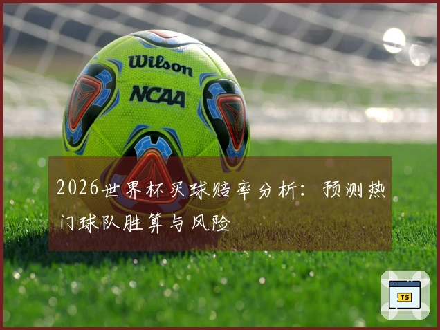 2026世界杯买球赔率分析：预测热门球队胜算与风险